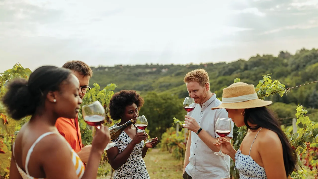 Woman holding a wine glass overlooking lush Napa Valley vineyard rows with mountains in the background