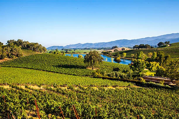 Luxury private chauffeur vehicle ready for a personalized Napa Valley wine tour experience