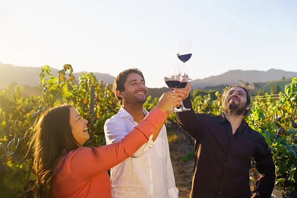 Scenic Napa Valley vineyard landscape showcasing wine country routes and winery destinations